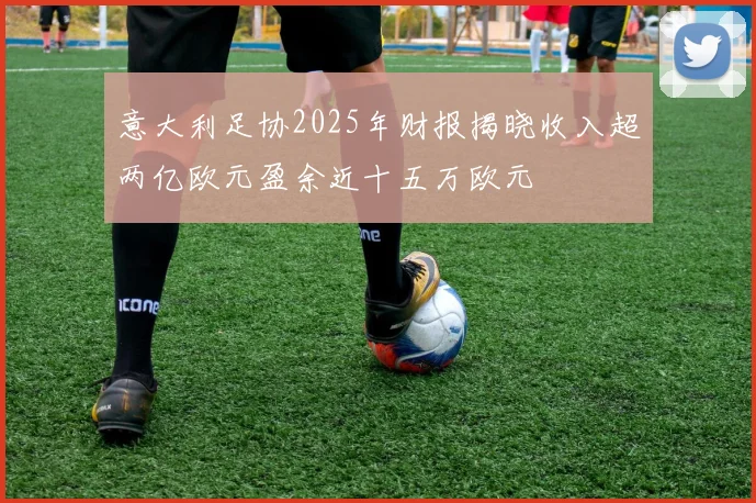 意大利足协2025年财报揭晓收入超两亿欧元盈余近十五万欧元