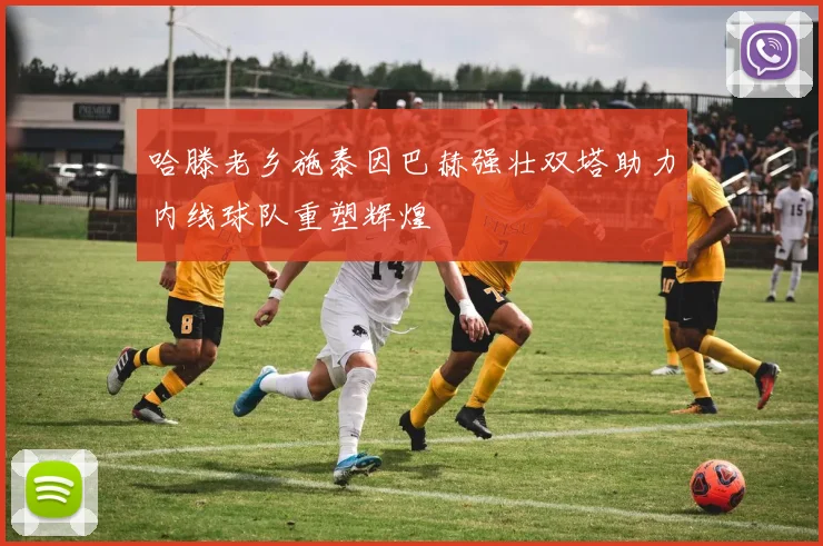 哈滕老乡施泰因巴赫强壮双塔助力内线球队重塑辉煌